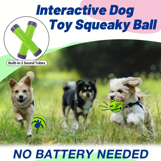 Why the Silicone Dog Toy Ball is the Perfect Choice for Your Furry Friend