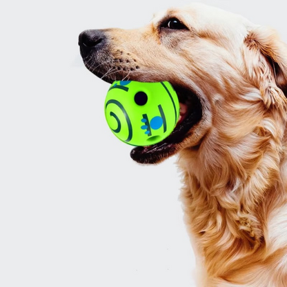 Hundespielzeug Ball Silikon