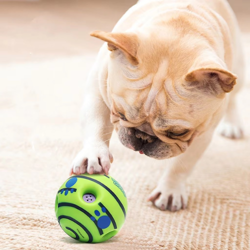 Hundespielzeug Ball Silikon