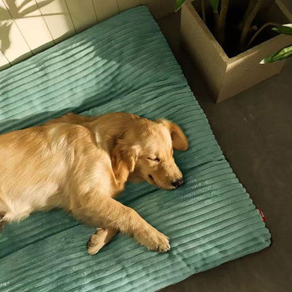 Soft and fluffy pillow for dogs to sleep-Snoozy Dream