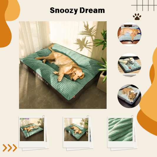 Soft and fluffy pillow for dogs to sleep-Snoozy Dream