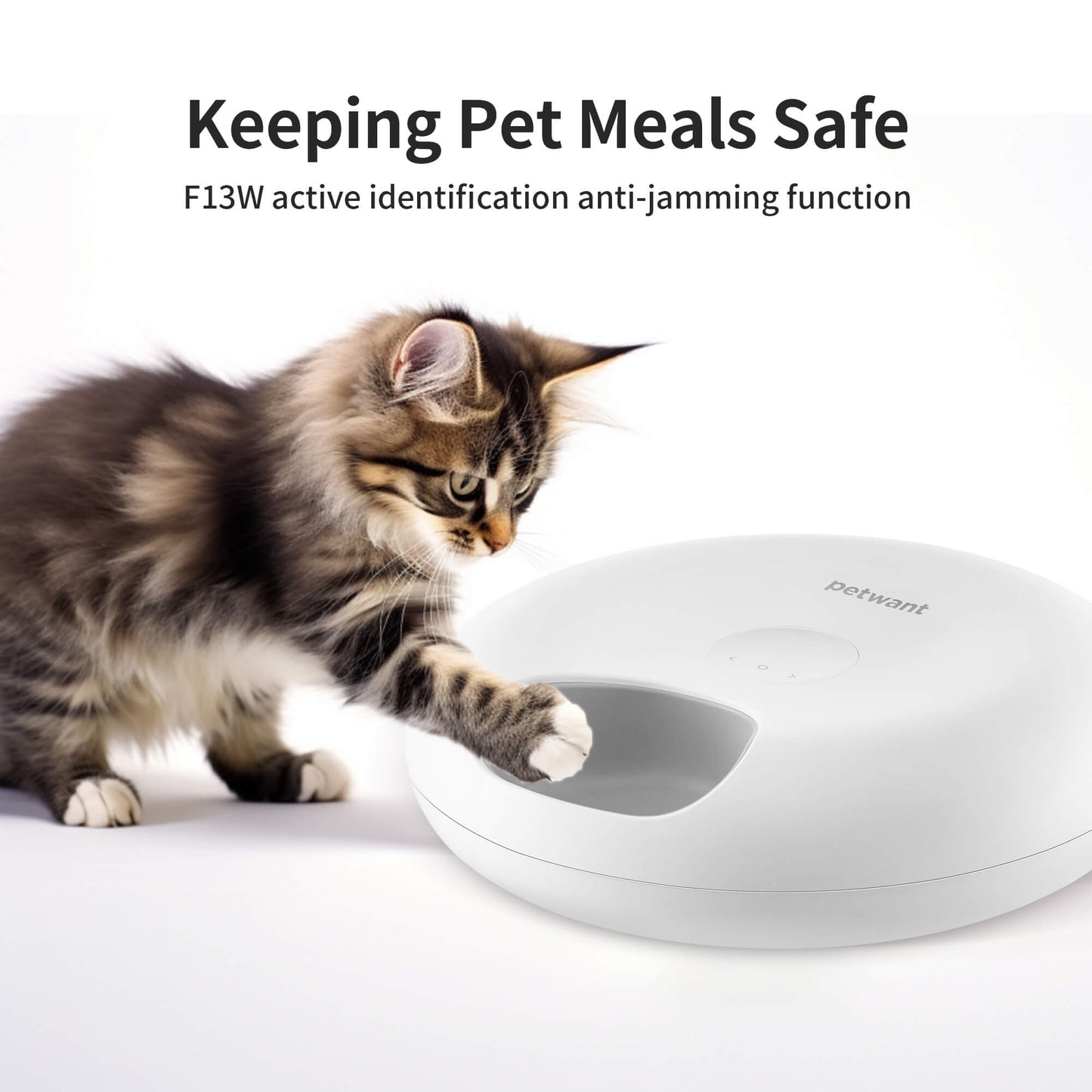 Polar Wet Food Feeder